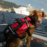 Crewsaver Pet Float Bouyancy Aid