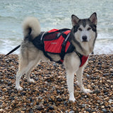 Crewsaver Pet Float Bouyancy Aid